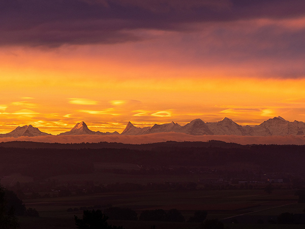 我是文章標題文章標題文章標題(標題圖檔)