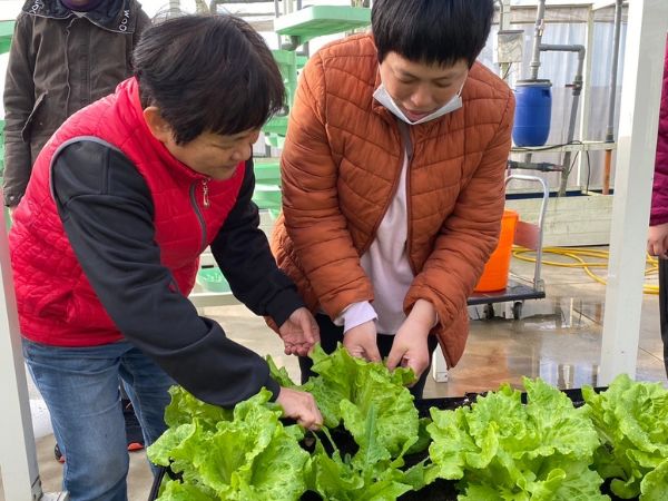 種下希望｜收穫笑容(標題圖檔)